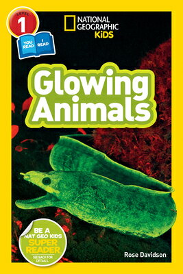 National Geographic Readers: Glowing Animals (L1/Coreader) NATL GEOGRAPHIC READERS GLOWIN Readers [ Rose Davidson ]