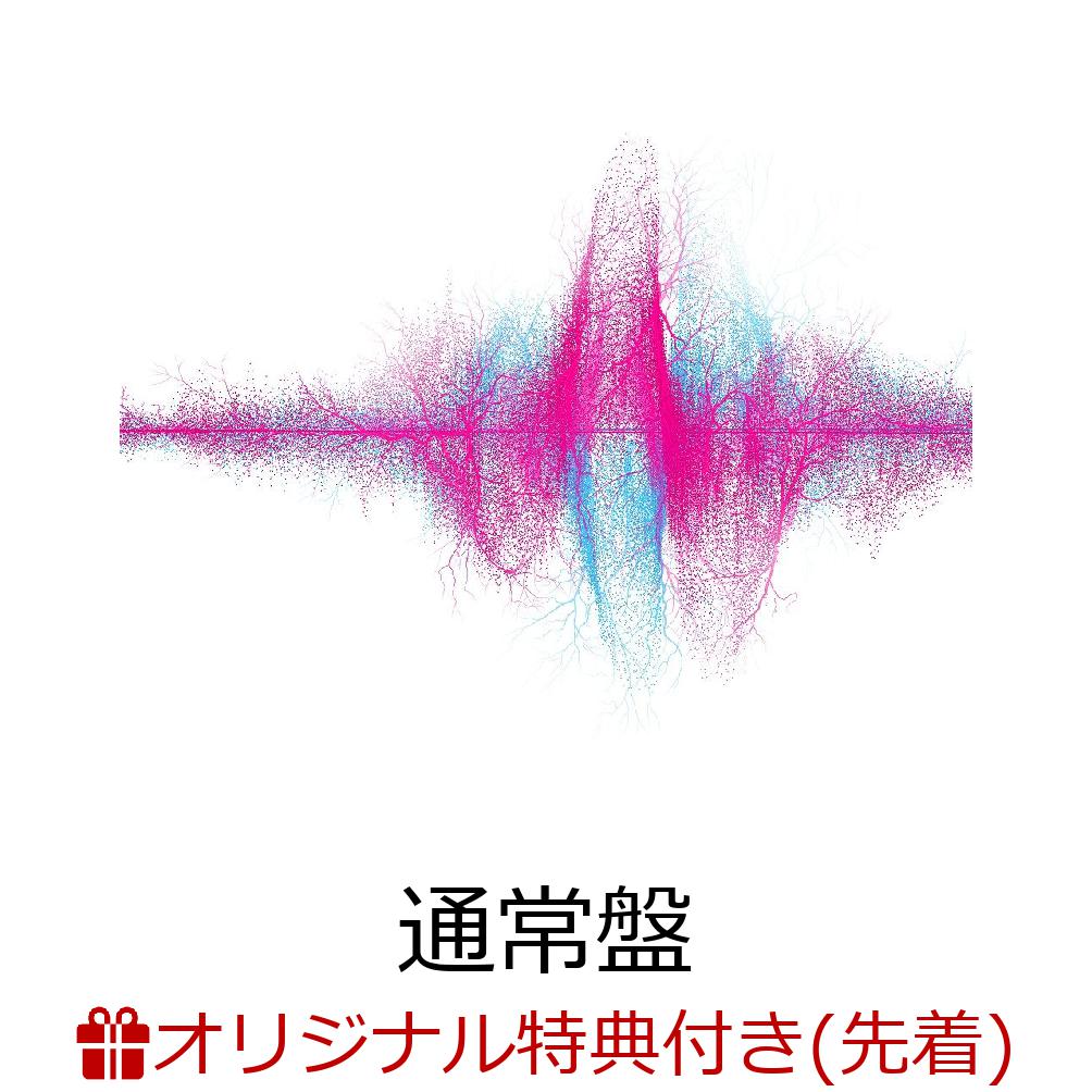 【楽天ブックス限定配送パック】【楽天ブックス限定先着特典】音楽(オリジナルA4クリアファイル) [ SUPER BEAVER ]