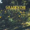 指先/COME ON [ GRAPEVINE ]