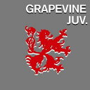 ジュブナイル [ GRAPEVINE ]