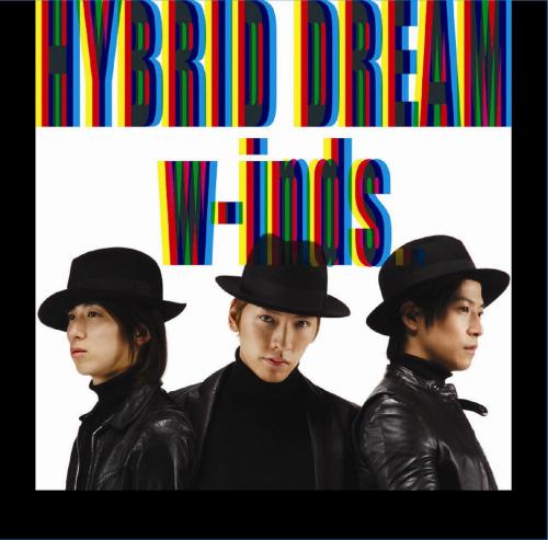 HYBRID DREAM/Rain Is Fallin’（初回限定CD＋DVD） [ w-inds. ]