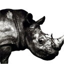 Mr.Children 1992-1995 [ Mr.Children ]