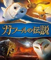 ���ա�������� �֥롼�쥤&DVD���åȡ�Blu-ray Disc Video�� �ڽ�����������