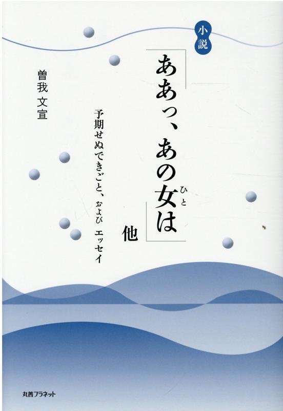 小説「ああっ、あの女は」他