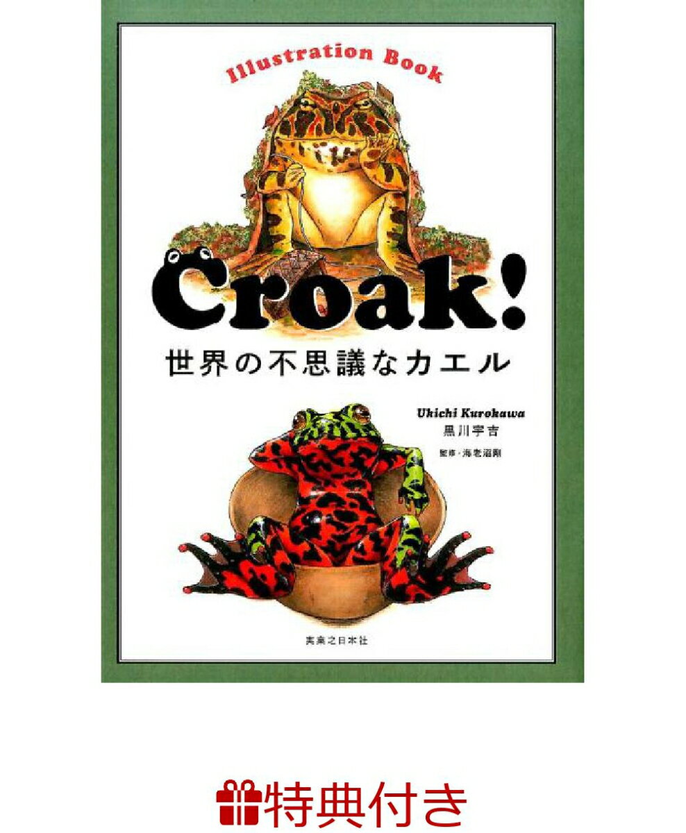 Croak！世界の不思議なカエル　Illustration　Book【購入特典　ポストカード付】