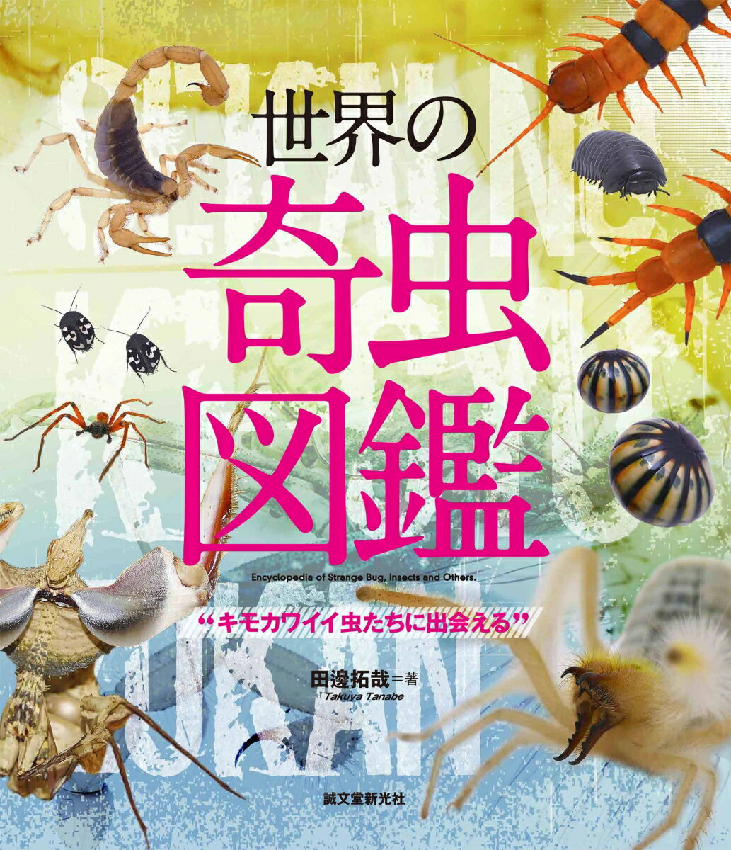 世界の奇虫図鑑 キモカワイイ虫たちに出会える [ 田邊 拓哉 ]