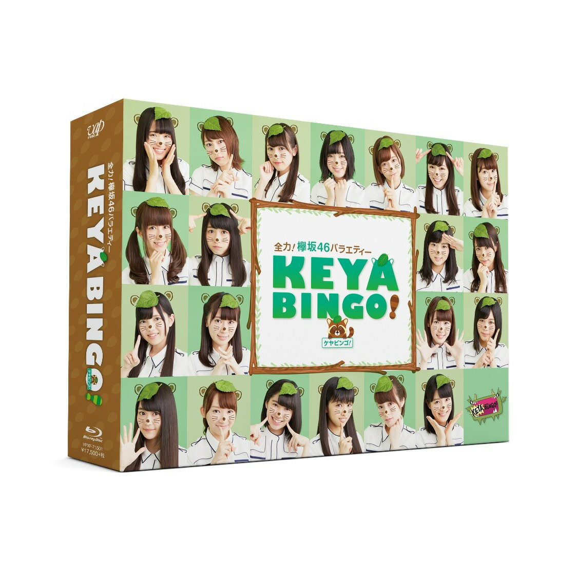 全力！欅坂46バラエティー KEYABINGO！ Blu-ray BOX【Blu-ray】 [ 欅坂 ...