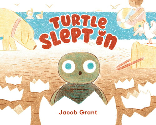 Turtle Slept in
