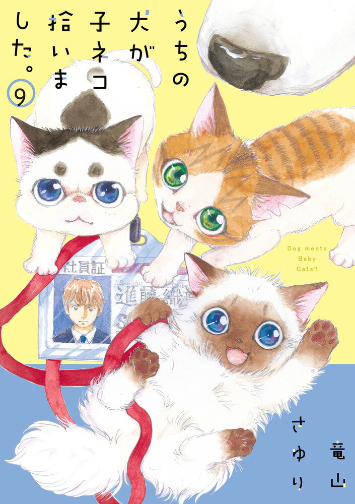 うちの犬が子ネコ拾いました。（ 9巻）