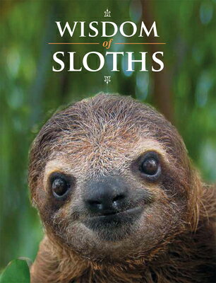 Wisdom of Sloths WISDOM OF SLOTHS [ Lisa Purcell ]