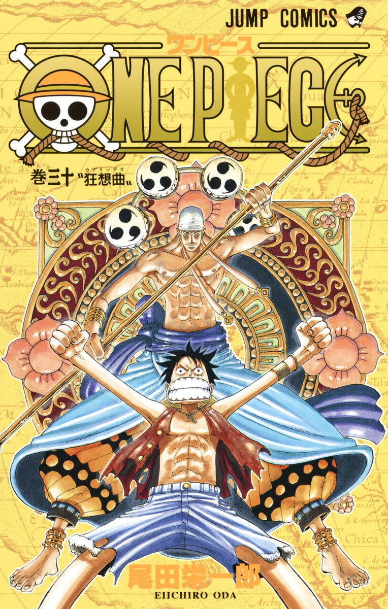 ONE PIECE 30