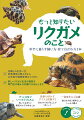 相棒との出会い方、飼育環境の整え方からお世話や健康管理のコツまで。楽しいリクガメ生活の秘訣を専門店の確かな知識でお伝えします。