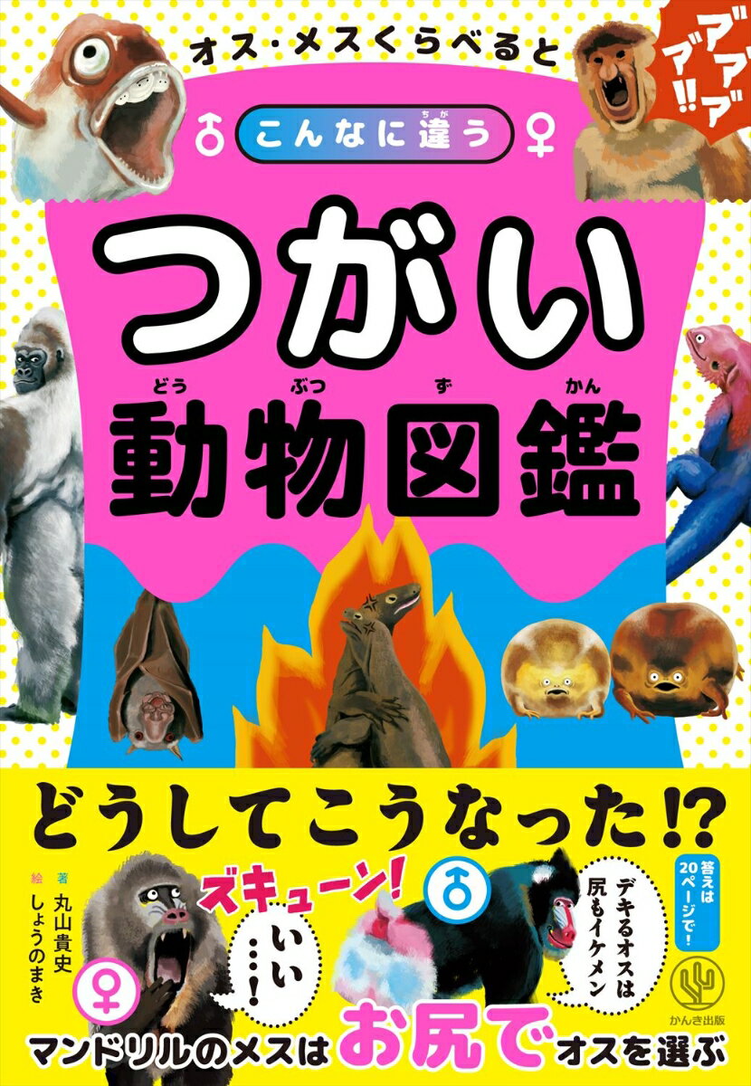 【謝恩価格本】オス・メスくらべるとこんなに違う つがい動物図鑑