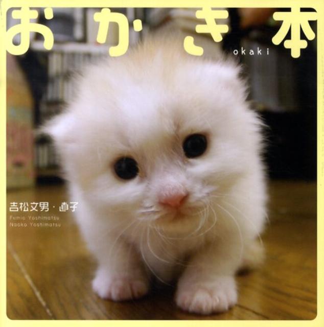 おかき本