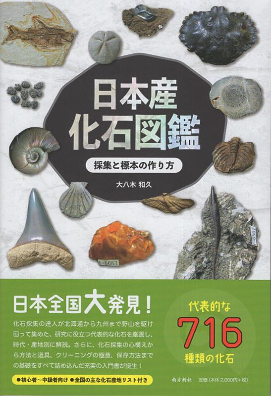 日本産化石図鑑 採集と標本の作り方