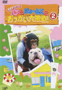 『天才志村どうぶつ園』『どうぶつ奇想天外』などのTV番組に出演し、ファンが急増中の、パンくん（チンパンジー）とジェームズ（ブルドッグ）のコンビ。彼らのキュートな魅力をたっぷり紹介する。