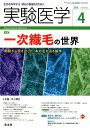 実験医学 2018年4月号 一次繊毛の世界 （Vol.36No.6） 井上 尊生