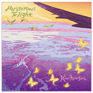 Mysterious Flight