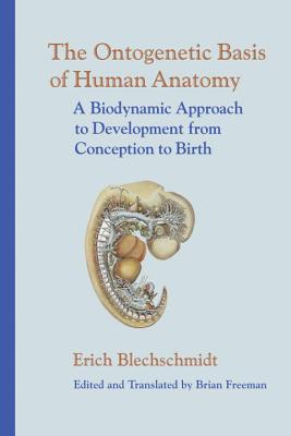 This book presents an anatomical overview of the changing form and structure of the human body. Although biomechanical embryology can be traced back to the 19th century, up until recently the most commonly accepted framework for the study of human ontogeny (development of the individual) was molecular biology, which all too frequently relied on findings from animal experiments that remained untested for humans. German embryologist and anatomist Erich Blechschmidt's research concentrates on the evidence presented by the human embryo itself. He offers a new approach to the study of early human growth as a way to shed light on the development of body build, instincts, gestures, language, mathematics, tools, and dress.