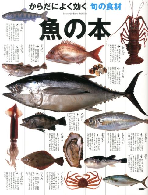 月別魚の旬一覧表&春夏秋冬に食べたい魚 | Sushi Sakana design