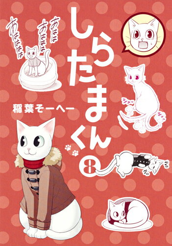 しらたまくん 8