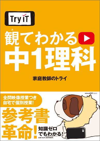 Try IT�ʥȥ饤���åȡ� �ѤƤ狼�� ��1����