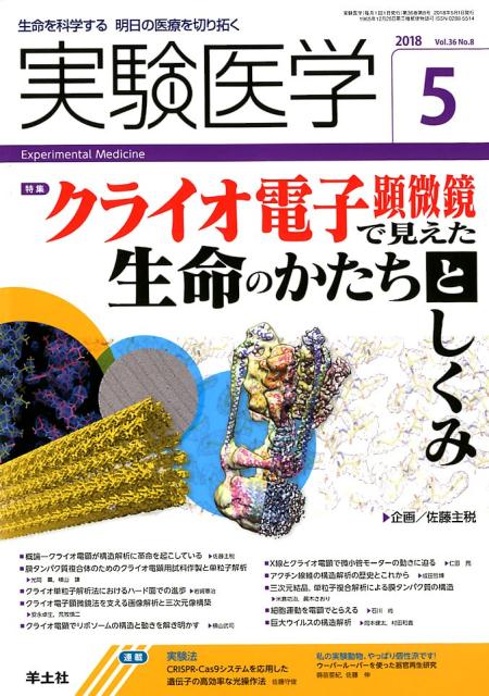 実験医学 2018年5月号