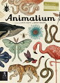 Set on the "walls" of the printed page, this imaginative new series showcases the world's finest collections of objects. Each title is organized into galleries that display more than 200 full-color specimens accompanied by lively, informative text. Offering hours of learning, this first title within the series presents the animal kingdom in glorious detail.