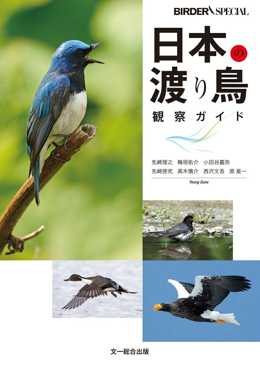 日本の渡り鳥観察ガイド （BIRDER SPECIAL） 