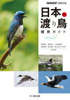 日本の渡り鳥観察ガイド