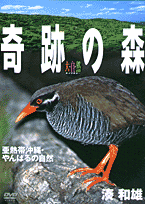 奇跡の森 亜熱帯沖縄・やんばるの自然〔DVD〕