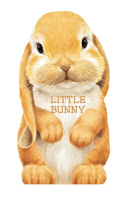 Little Bunny LITTLE BUNNY （Mini Look at Me Books） Laura Rigo