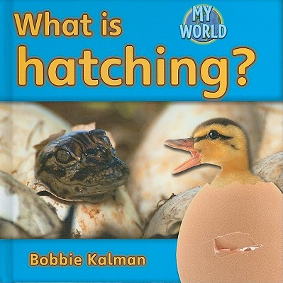 What Is Hatching? WHAT IS HATCHING （My World - Grl E） 