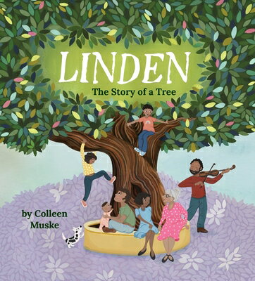 Linden: The Story of a Tree LINDEN [ Colleen Mus