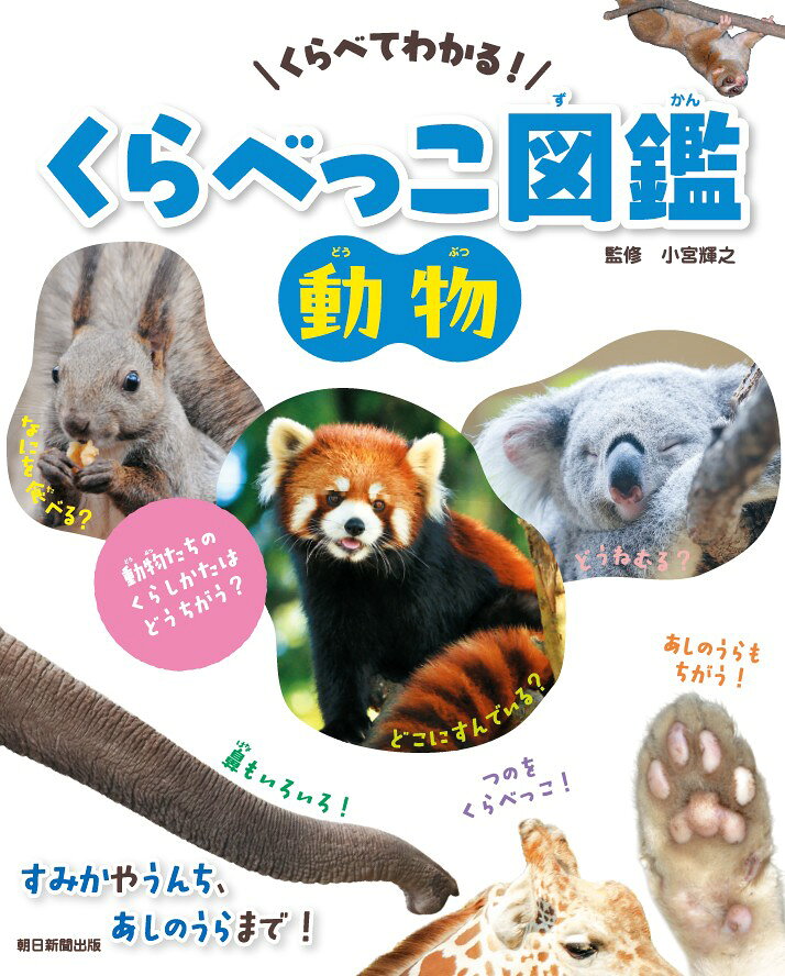 くらべっこ図鑑 動物