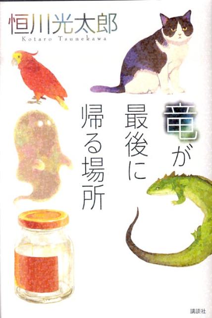 竜が最後に帰る場所