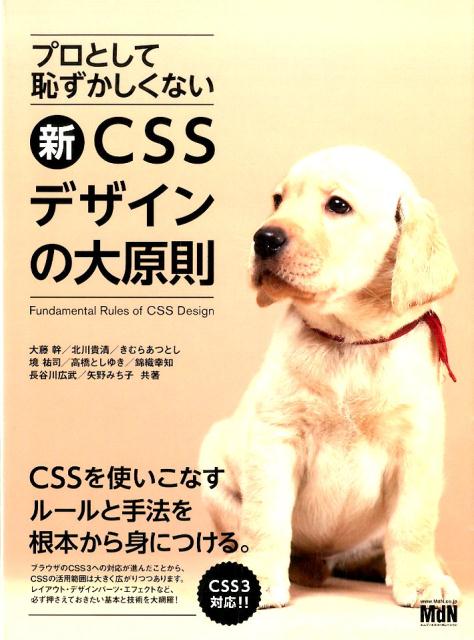 プロとして恥ずかしくない新CSSデザインの大原則