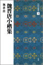 魏晋唐小楷集 二玄社チュウゴク ホウショセン 発行年月：1990年03月 ページ数：71p サイズ：全集・双書 ISBN：9784544005110 本 ホビー・スポーツ・美術 美術 その他 ホビー・スポーツ・美術 工芸・工作 書道 美容・暮らし・健康・料理 生活の知識 書道