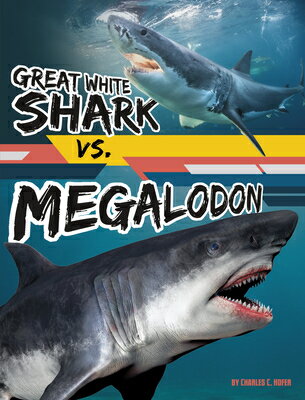 Great White Shark vs. Megalodon GRT WHITE SHARK VS MEGALODON （Beastly Battles） [ Charles C. Hofer ]