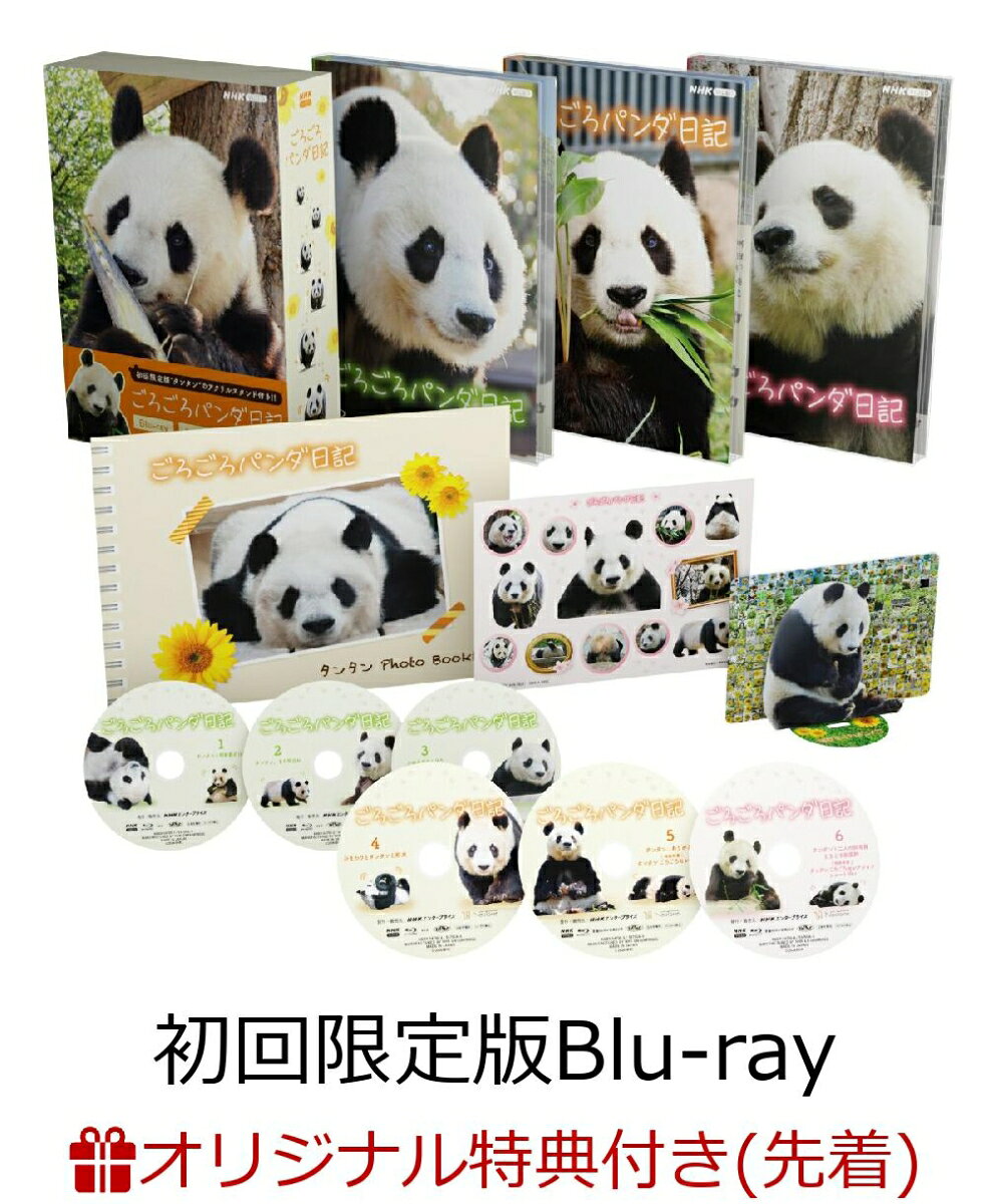 神戸市立王子動物園の人気者パンダのタンタン。短い手足にモフモフの体。そして愛くるしい表情。
「神戸のお嬢さま」と呼ばれ多くの人々に愛されたが、2024年3月31日にこの世を去ったーー

★2020年から取材班がバックヤードに密着した膨大な映像とともに、タンタンが神戸で過ごした日々を振り返る感動ドキュメンタリー。

★初回限定版には、封入特典としてタンタンのメモリアルアクリルスタンド（B6サイズ型抜き）を封入！
　ファンアートとして番組に寄せられたひまわりの写真を背景にした初回限定の封入特典です。
　（Blu-ray、DVDともに初回限定版のみに封入されます）

★封入特典は特製フォトブック（28ページ予定）！タンタンのヒストリーから、
　王子動物園で過ごした日々をちりばめた素敵なフォトブックとなります。
また、タンタンの画像をモチーフにしたオリジナル特製ステッカーも封入します！（Blu-ray BOXのみ封入）

＜収録内容＞
『タンタンと飼育員の日々』（89分） 2020年12月12日 NHK BSプレミアムで放送
『タンタン、また明日ね』（89分） 2021年8月21日 NHK BSプレミアムで放送
『かわらずのんびり過ごしてほしい』（89分） 2022年10月29日 NHK BSプレミアムで放送
『ひまわりとタンタンと約束』（89分） 2023年11月11日 NHK BSプレミアムで放送
『タンタン、ありがとう』（59分） 2024年5月5日 NHK BSで放送
『タンタンと二人の飼育員 ときどき獣医師』（89分） 2025年9月20日 NHK BSで放送

※収録内容は変更となる場合がございます。