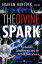 The Divine Spark: A Graham Hancock Reader: Psychedelics, Consciousness, and the Birth of Civilizatio DIVINE SPARK A GRAHAM HANCOCK [ Graham Hancock ]