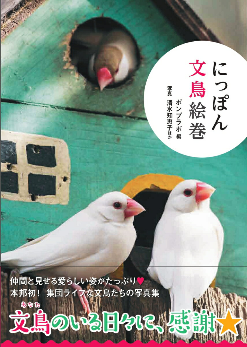 にっぽん文鳥絵巻