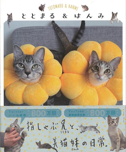 Twitter総いいね数800万、YouTube総再生数800万。　ととまる＆はんみ、バズ猫兄妹1st写真集！飼い主の指をしゃぶりまくる「ととまる」くん、甘えん坊な美猫「はんみ」ちゃん。たまに猫グルメを作ってくれる「ととまるはんみパパ」。2匹と1人の日常を綴ったほっこり写真集。こんな毎日をみんなが過ごせたら世界が平和になるはず。