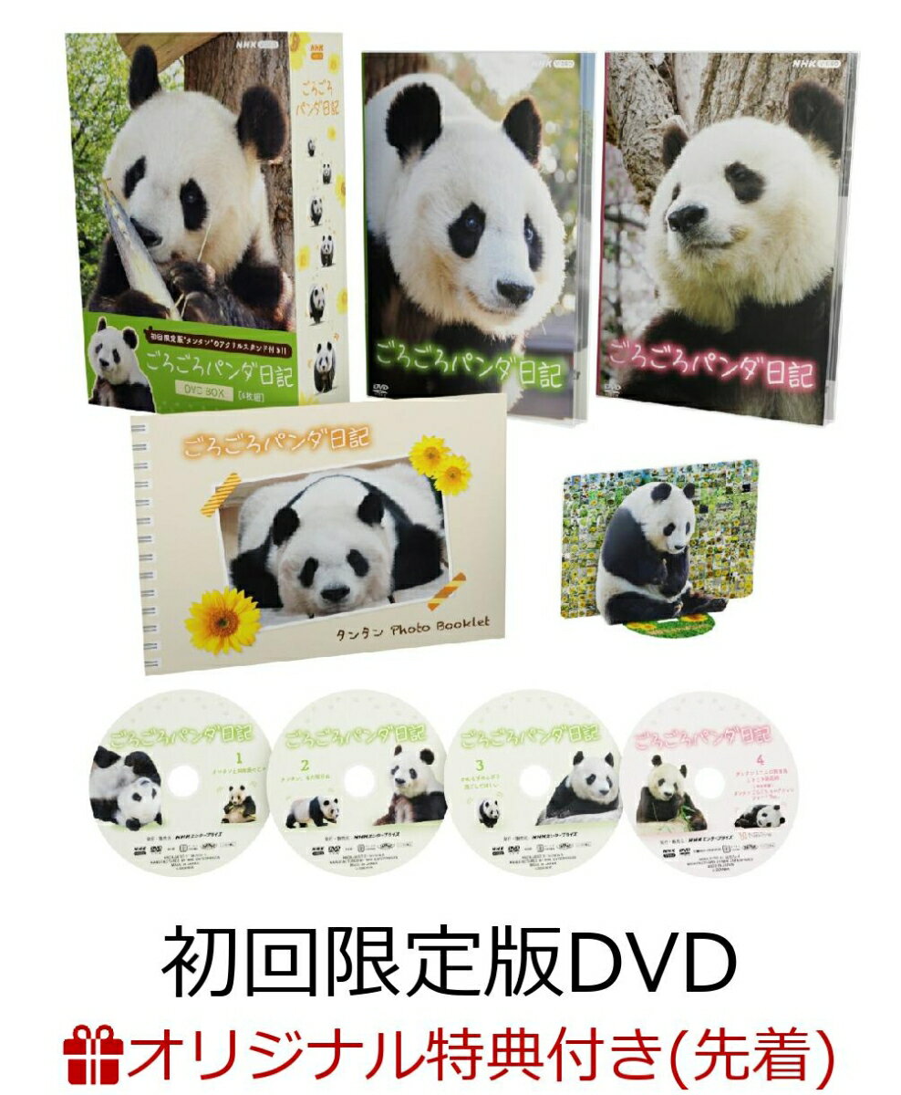 【楽天ブックス限定先着特典】ごろごろパンダ日記 DVD BOX(アクリルスタンド付き初回限定版)(アクリル..