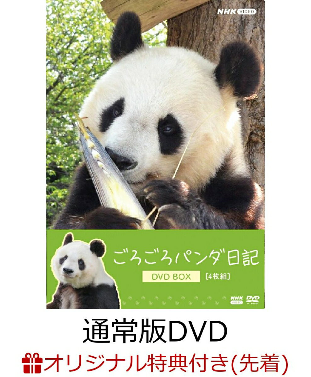 【楽天ブックス限定先着特典】ごろごろパンダ日記 DVD BOX(通常版)(アクリルキーホルダー+ポストカード4枚セット)