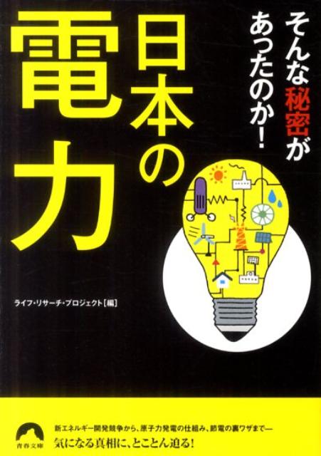 日本の電力そんな秘密があったのか！