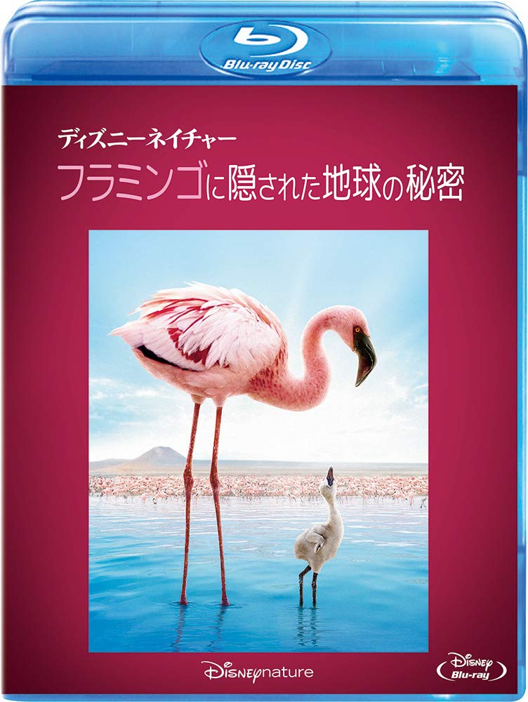 ウォルト・ディズニーの遺志を受け継ぐ
ドキュメンタリー映画シリーズ

「ディズニーネイチャー」シリーズは、『ライオン・キング』や『ダンボ』、『ズートピア』など、
動物を主人公にした珠玉の作品を世に送り出し続ける“ディズニー”ならではの視点で、
大自然の中に生きる動物の家族を中心に、その親子の愛情、仲間、外敵たちとの戦いなど、
知られざる彼らの生態を細かく撮影し、美しい映像で生命の営みを綴った本格的ドキュメンタリー映画。

製作スタッフには、「アース」や「ディープ・ブルー」などの大ヒットドキュメンタリー映画の製作陣が参加。
さらにナレーションは、オリジナル版ではメリル・ストリープやサミュエル・L.ジャクソンらハリウッドを代表する超豪華俳優陣が担当しています。
日本語版でも、宮崎あおいさんや谷原章介さんをはじめ、木村多江さん、小澤征悦さん、青木裕子さん、
益岡徹さんら豪華俳優やタレントによる心に響くナレーションが、作品に彩りを添えています。

＜ストーリー＞
東アフリカの中央部、タンザニア北部にある不思議な湖ナトロン。
湖の水には塩分が溶け込んでいて毒性が強く、生きものは住むことができません。
そんな毒の湖で、雨期になると巣作りをし、新たな生命を育むフラミンゴをカメラが追いかけます。

ナレーション：宮崎あおい（日本語版）、マリエラ・フロストラップ（オリジナル版）

&copy;2019 Disney