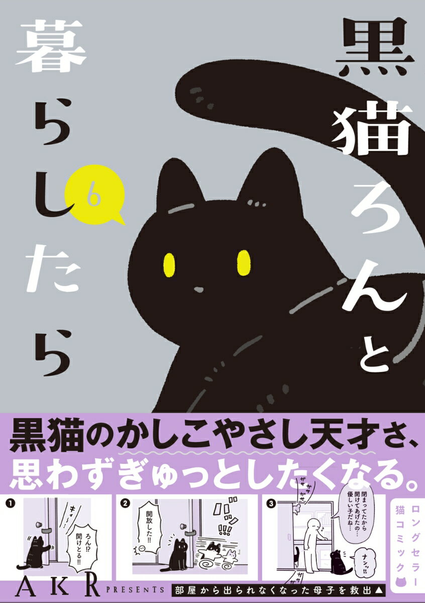 黒猫ろんと暮らしたら6