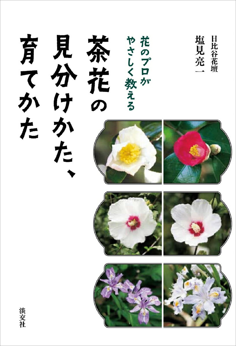 茶席で愛でられる「茶花」は種類も豊富で、ひと目見ただけでは区別がつかないものがたくさんあります。本書では姿形の類似した茶花について、その見分けるポイントをわかりやすく解説します。さらに、茶花を自宅で育てるコツも詳細に伝授。花を通して人々に感動を与え続ける「日比谷花壇」で、長年にわたり花と語らってきた著者だからこそ紹介できる技と知見が満載です。