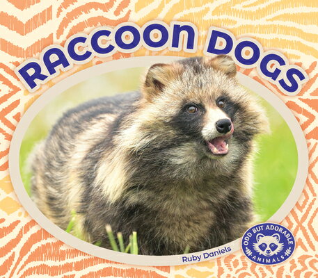 Raccoon Dogs RACCOON DOGS （Odd But Adorable Animals） [ Ruby Daniels ]